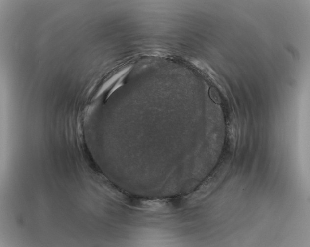 X0000115040516200911091407