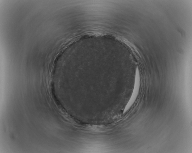 X0000115040517200911091407