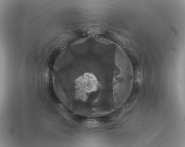 X0000115040519200911091407