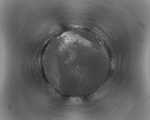 X0000115040520200911091407