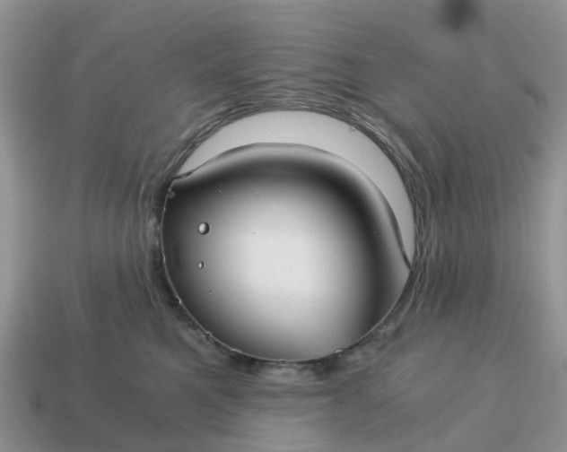 X0000115040521200911091407