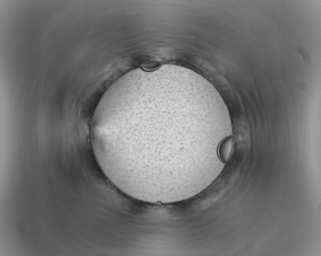 X0000115040523200911091407