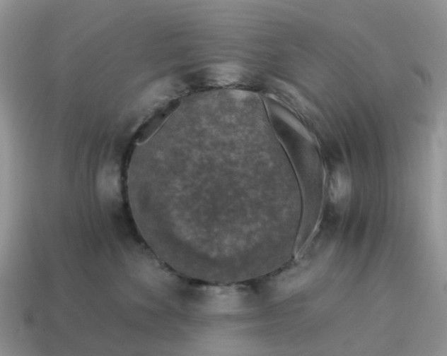 X0000115040524200911091407