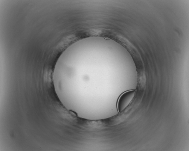X0000115040525200911091407