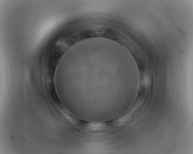 X0000115040526200911091407
