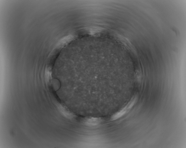 X0000115040527200911091407