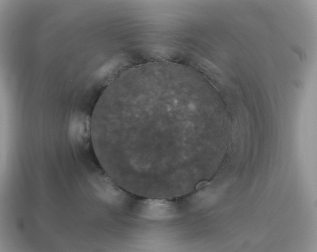 X0000115040528200911091407