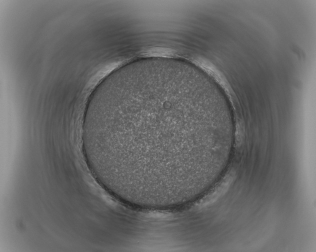 X0000115040529200911091407