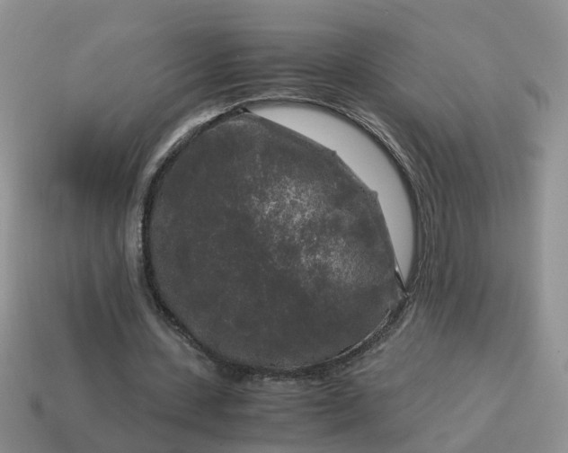 X0000115040531200911091407