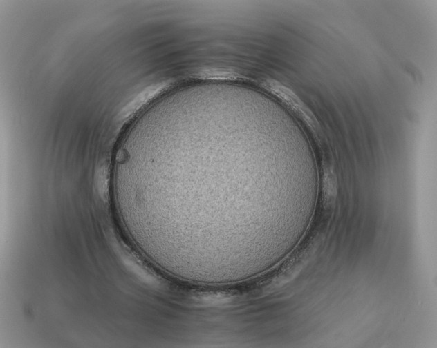 X0000115040533200911091407