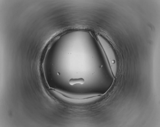 X0000115040534200911091407