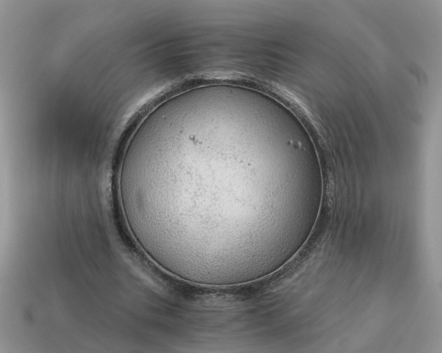 X0000115040535200911091407