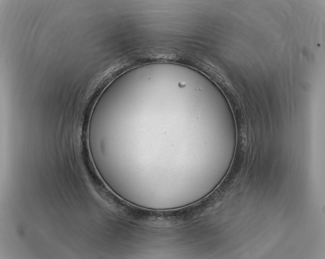 X0000115040538200911091407