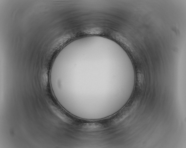 X0000115040541200911091407