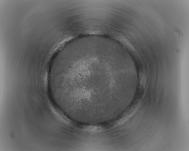 X0000115040542200911091407
