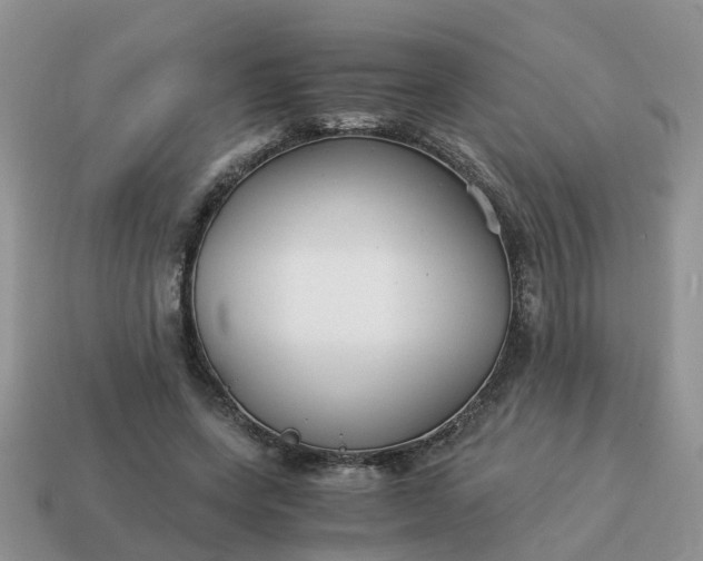 X0000115040543200911091407