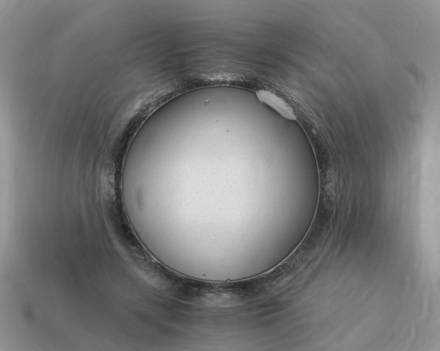 X0000115040547200911091407