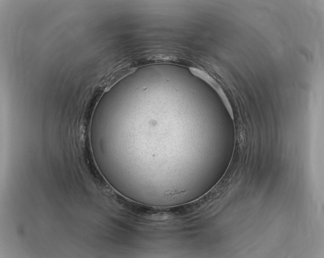 X0000115040551200911091407