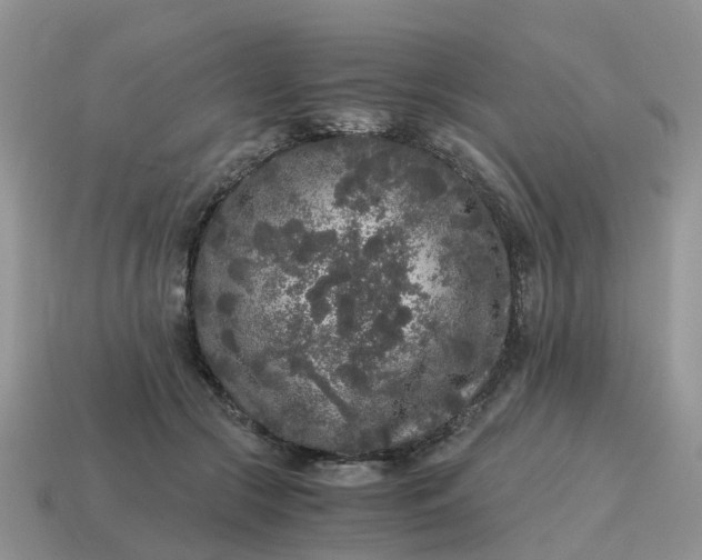 X0000115040553200911091407