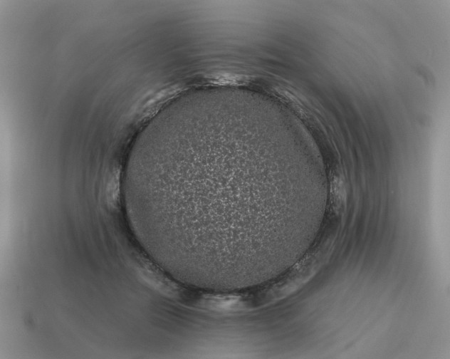X0000115040554200911091407