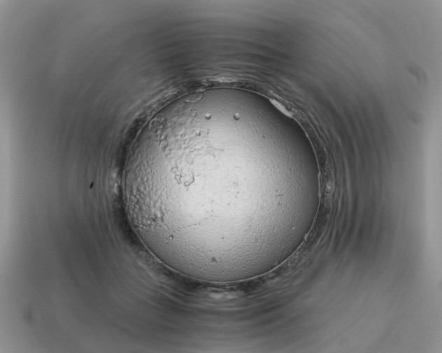 X0000115040555200911091407