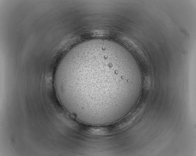 X0000115040557200911091407
