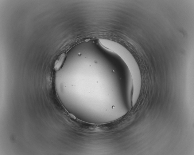X0000115040558200911091407