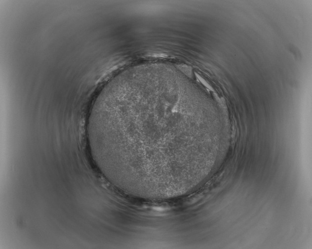 X0000115040559200911091407