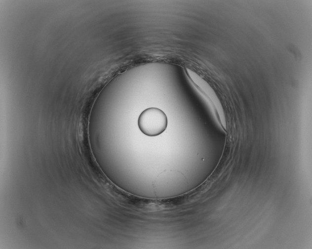 X0000115040562200911091407