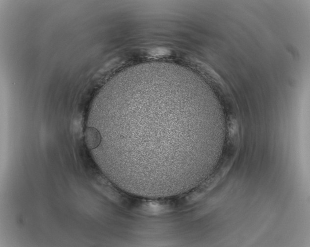 X0000115040565200911091407