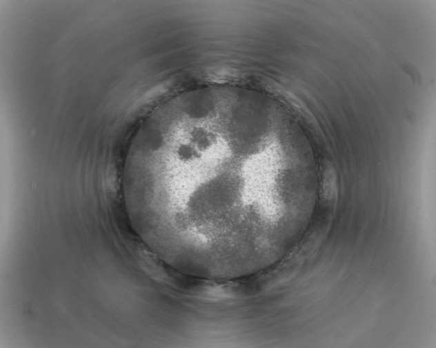 X0000115040569200911091407