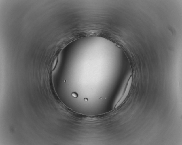 X0000115040570200911091407