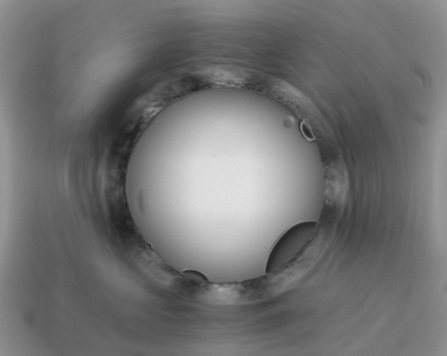 X0000115040573200911091407