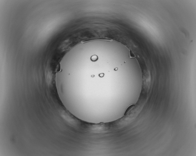 X0000115040574200911091407