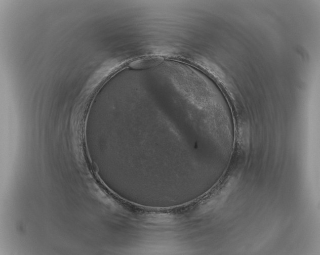 X0000115040577200911091407