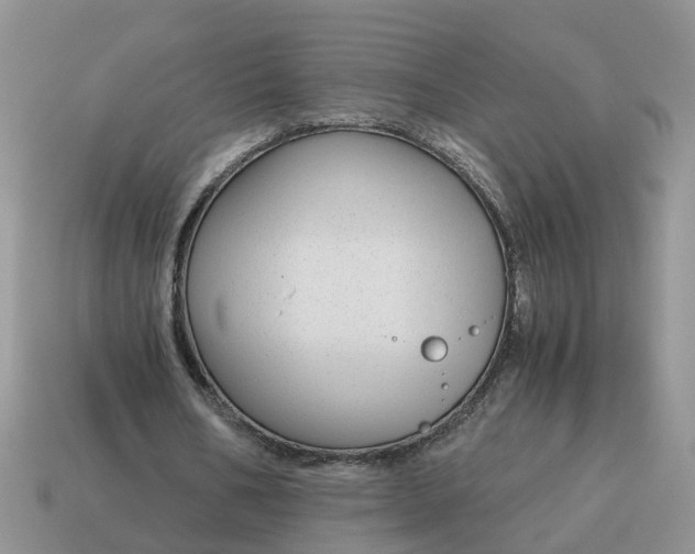 X0000115040578200911091407