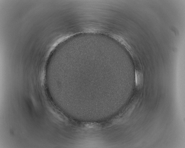 X0000115040579200911091407
