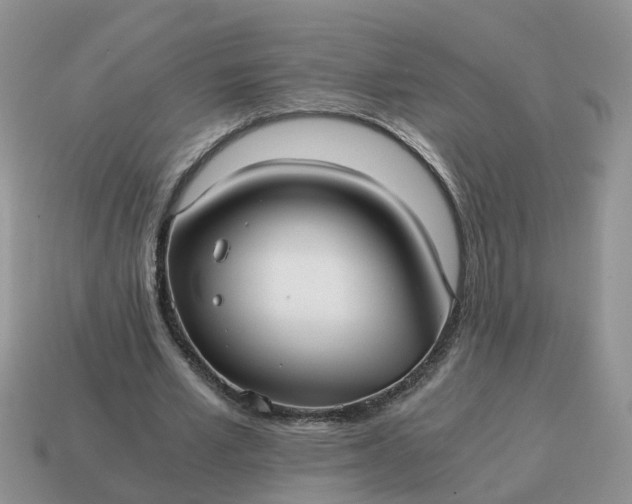 X0000115040581200911091407