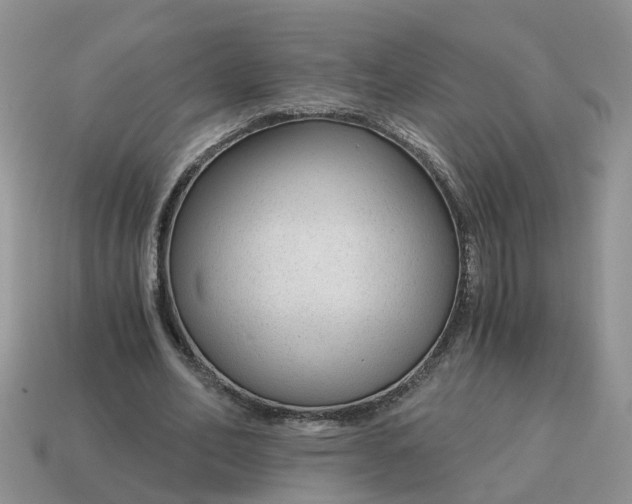 X0000115040582200911091406