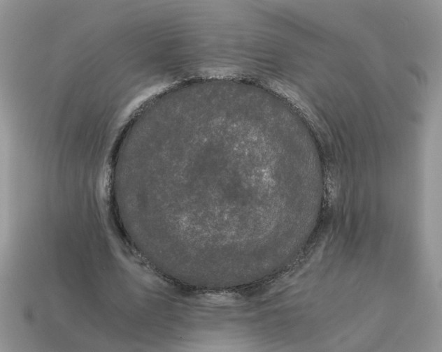 X0000115040583200911091406