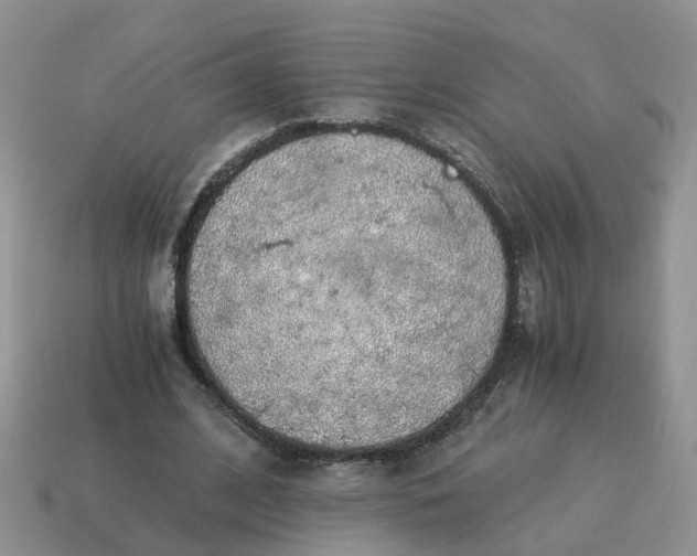 X0000115040584200911091406