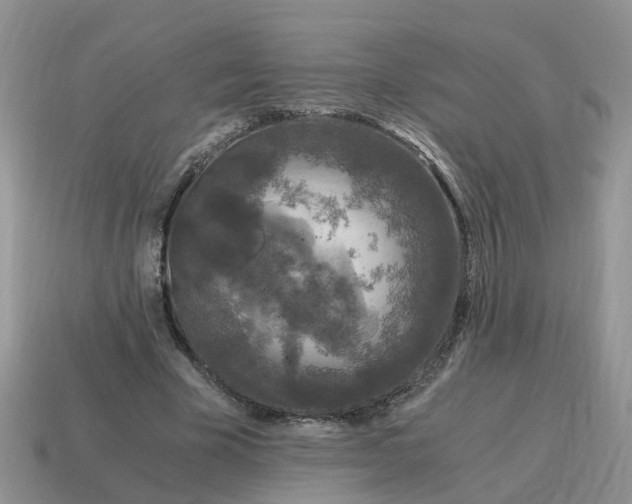 X0000115040585200911091406