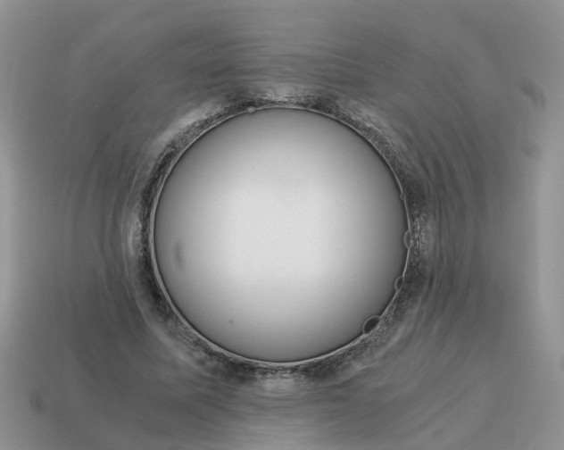 X0000115040587200911091406