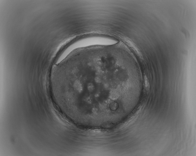 X0000115040588200911091406