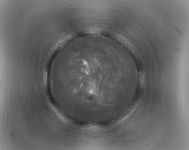X0000115040589200911091406