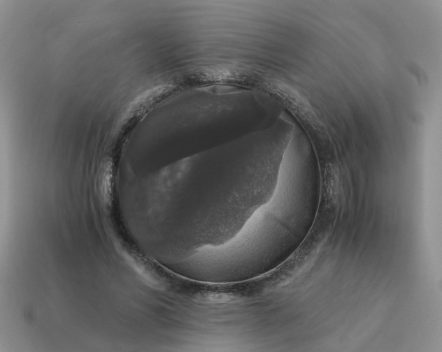 X0000115040590200911091406