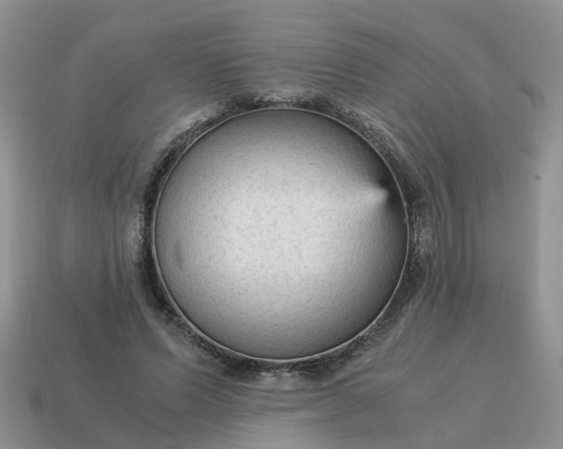 X0000115040591200911091406
