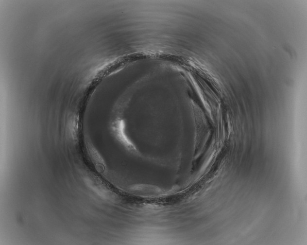 X0000115040592200911091406