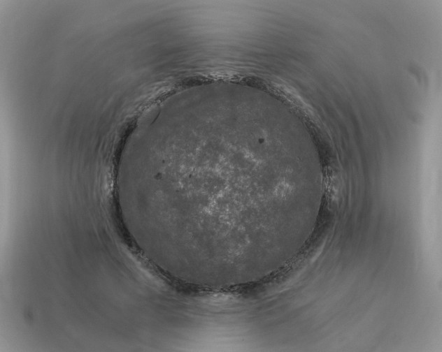 X0000115040593200911091406