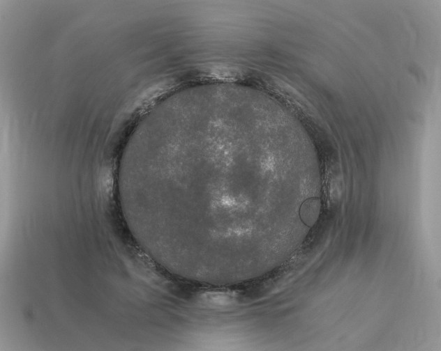 X0000115040595200911091406